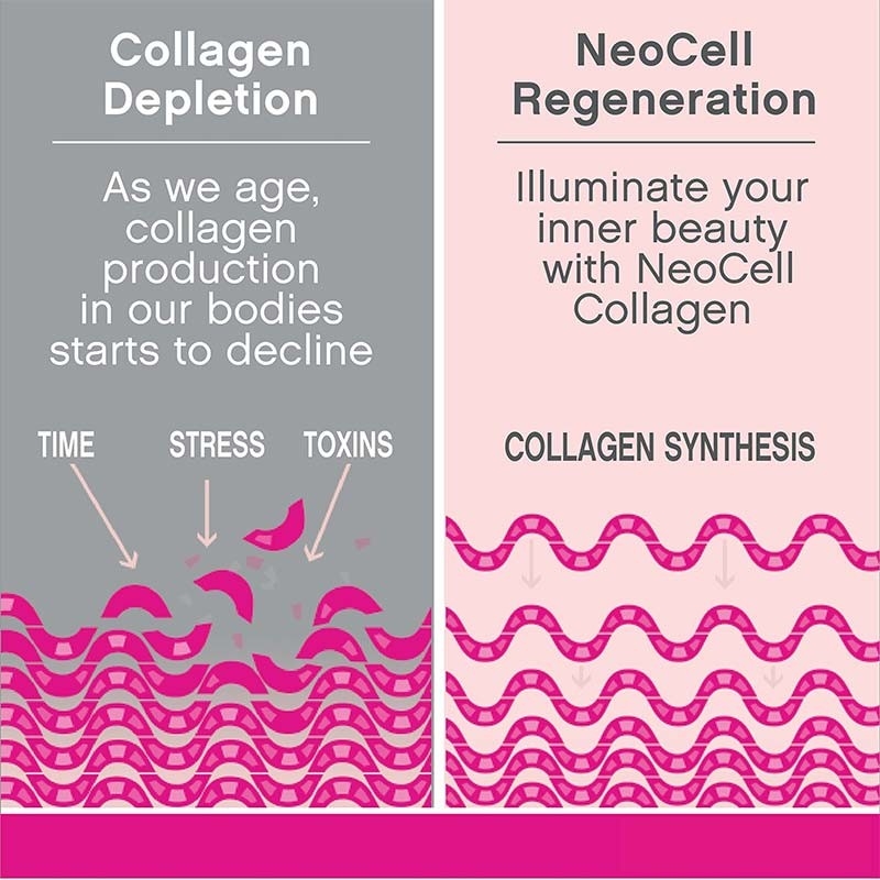 Kollagen ergänzt Soem-Haar-Haut und Nagel-Stützorganische Vitamin- Ctablets