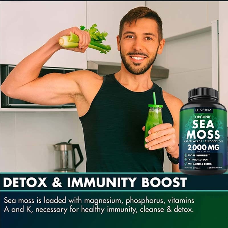 Unflavored organisches Meer Moss Raw See-Moss Capsules Wildcrafted Nons GMO 60 Gluten freie Seamoss-Pillen