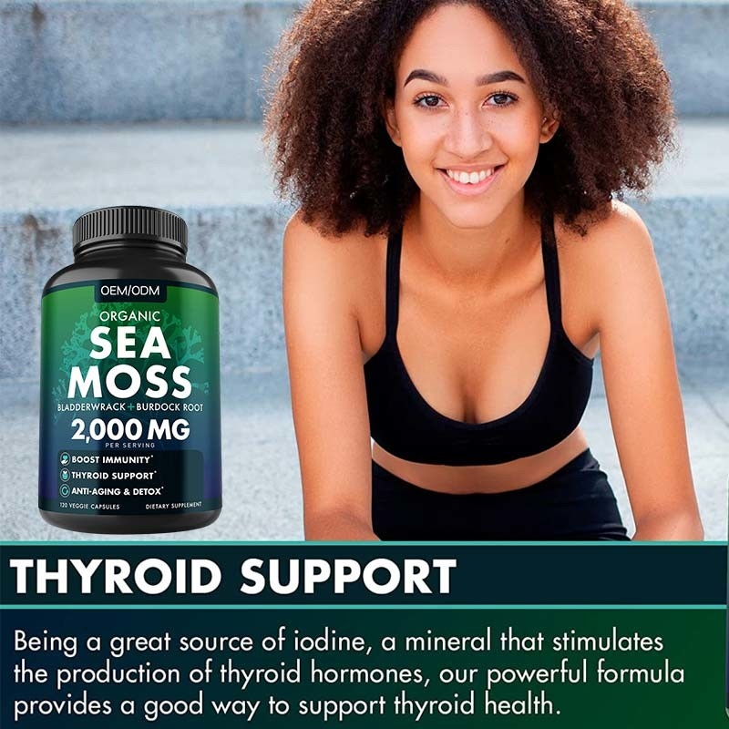 Unflavored organisches Meer Moss Raw See-Moss Capsules Wildcrafted Nons GMO 60 Gluten freie Seamoss-Pillen