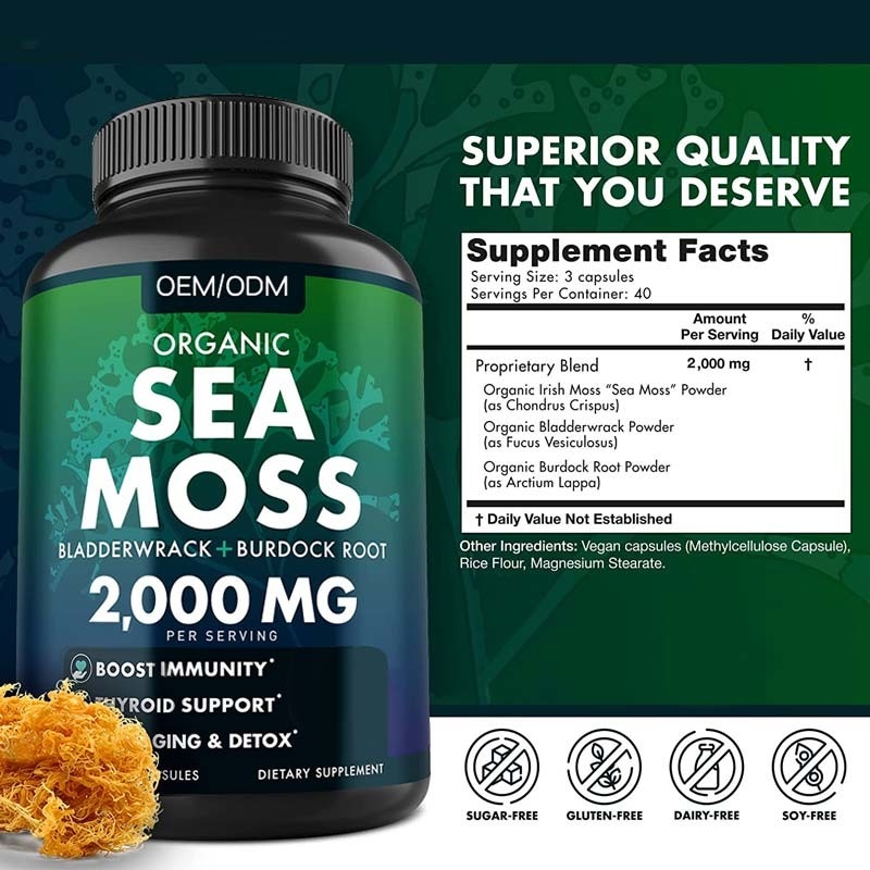 Unflavored organisches Meer Moss Raw See-Moss Capsules Wildcrafted Nons GMO 60 Gluten freie Seamoss-Pillen