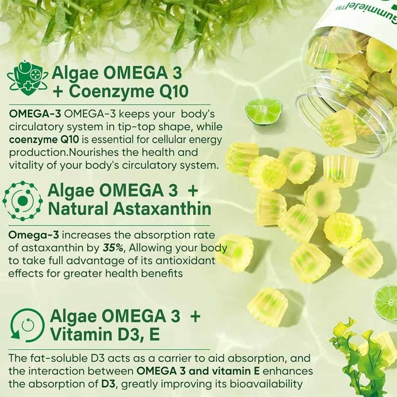 OEM-Unterstützung DHA Vitamin E A D3 für Gehirn-Augen-Gelenke Algen Omega-3 2200mg Gummies