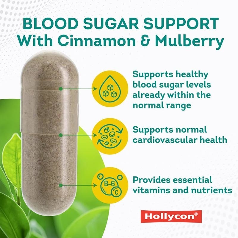 OEM Normaler Blutzuckersupport Ergänzung Zimt Bittere Melone Maulbeer Zink Biotin Vitamin pflanzliche Ergänzung