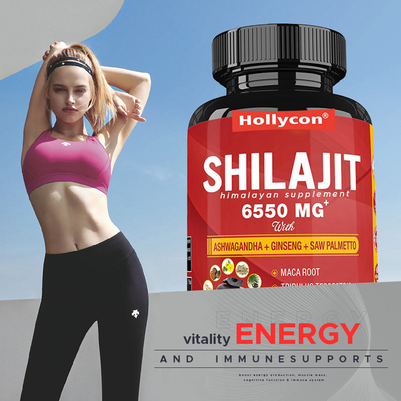 Himalaya Shilajit Ergänzung Energie und Immunsystem unterstützt kombinierte Ashwagandha Ginseng Saw Palmetto Maca
