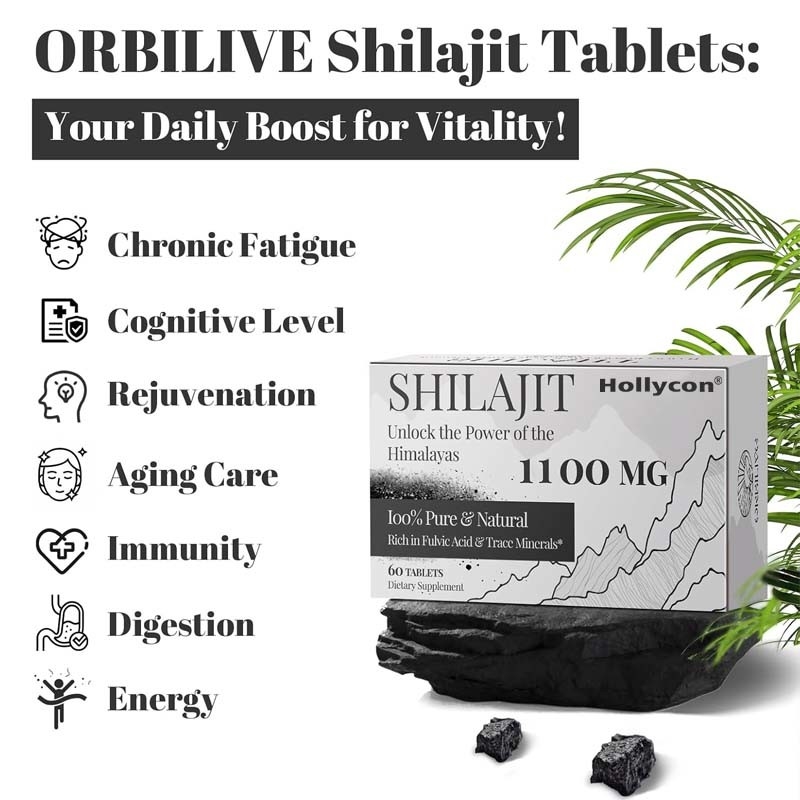 Shilajit Tabletten Energie Immunförderung Bio Shilajit für Männer und Frauen