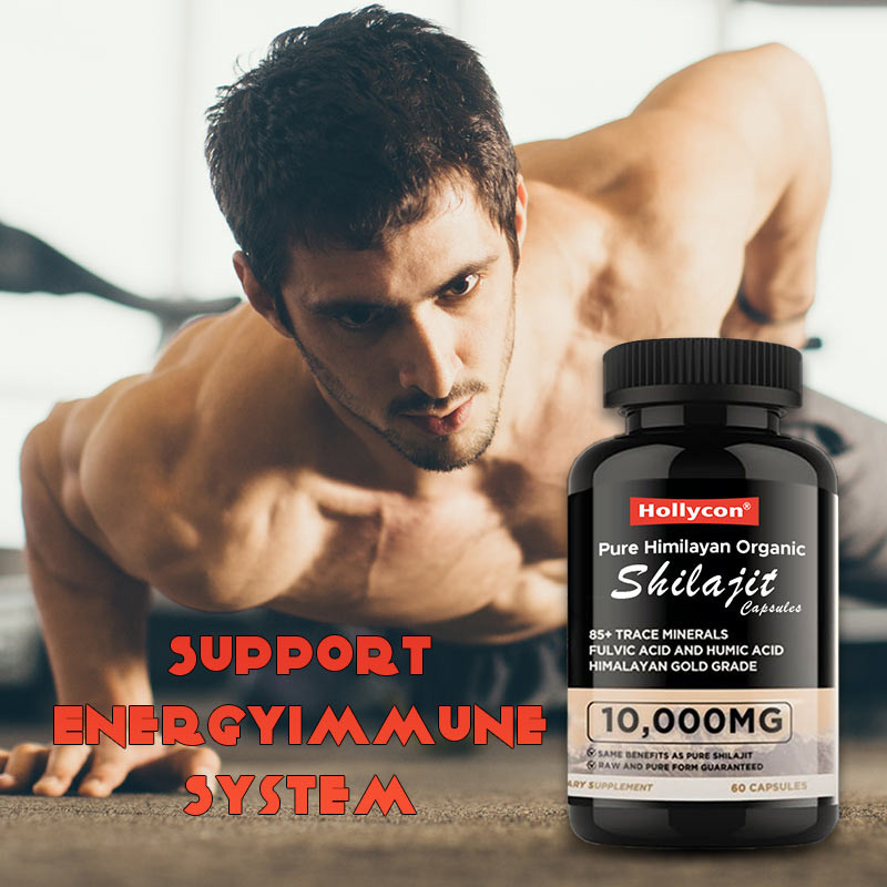 OEM reine Himalaya-organische Shilajit-Kapseln Antioxidantien unterstützen Energie Immun-Stress-Linderung