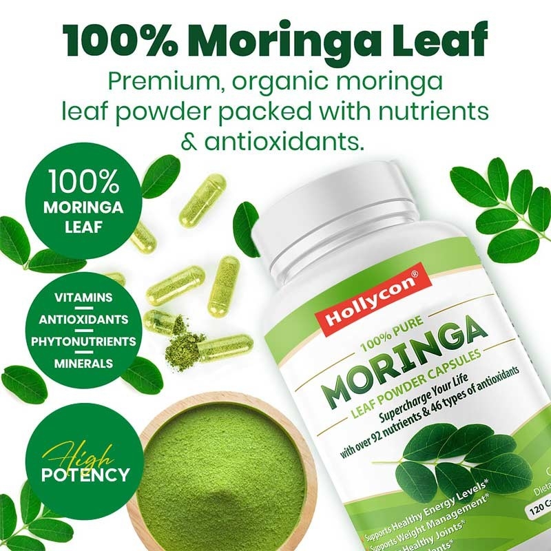Moringa-Kapseln Moringa-Pulver Organische Moringa-Blätter Unterstützung des Energieverbrauchs Immunfabrik