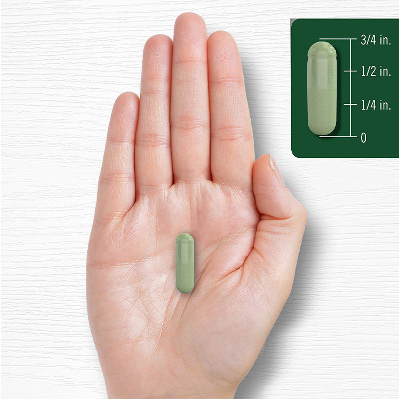 Moringa-Pulver-Kapseln zur Unterstützung der Gelenke Moringa-Pulver-Ergänzung zum guten Schlaf