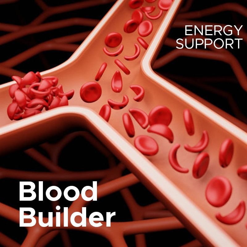 Eisenvegan Gummies für Erwachsene 60mcg Folsäure Eisen Gummies für Energie Unterstützung