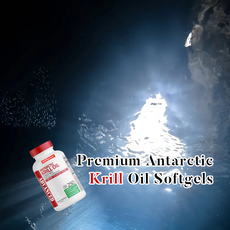 Antarktis-Krilöl zur Unterstützung der allgemeinen Gesundheit 2000 mg Antarktis-Krilöl Softgels