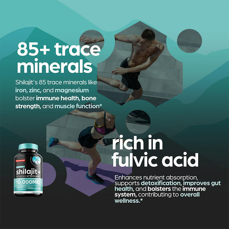 OEM reine Himalaya Shilajit 10000 mg organische Shilajit Kapseln zur Unterstützung der Immunabwehr