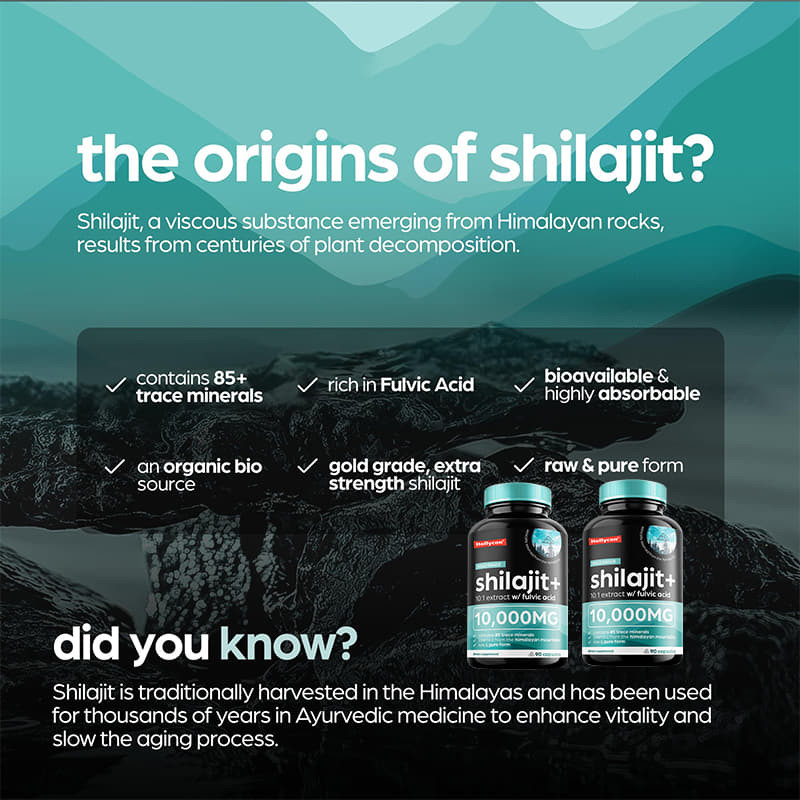 OEM reine Himalaya Shilajit 10000 mg organische Shilajit Kapseln zur Unterstützung der Immunabwehr