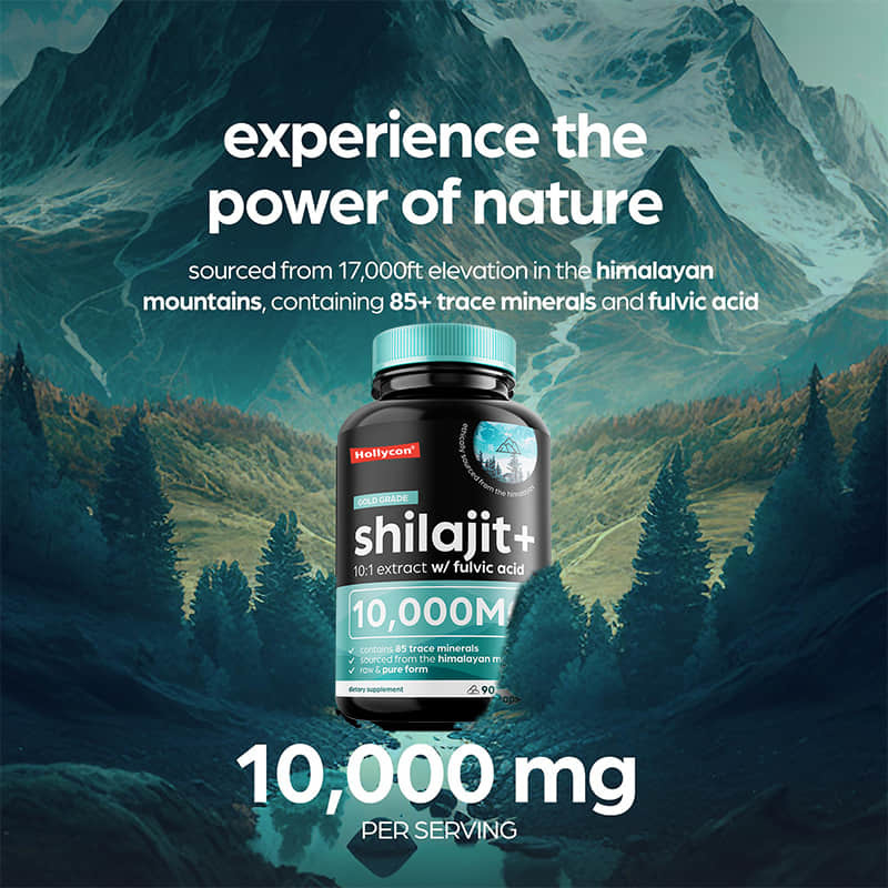 OEM reine Himalaya Shilajit 10000 mg organische Shilajit Kapseln zur Unterstützung der Immunabwehr