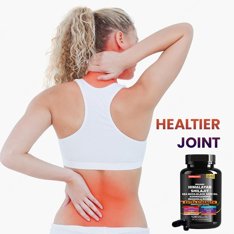OEM Bio-Reine Himalaya-Shilajit-Kapseln zur Unterstützung des Immunsystems