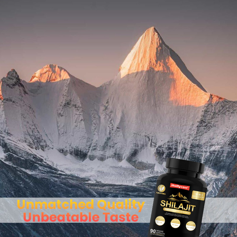Reine organische Himalaya-Shilajit-Ergänzung zur Unterstützung des Immunsystems 25000 mg Shilajit-Kapseln