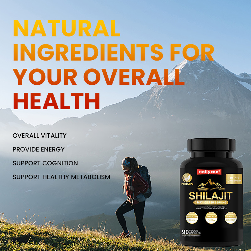 Reine organische Himalaya-Shilajit-Ergänzung zur Unterstützung des Immunsystems 25000 mg Shilajit-Kapseln
