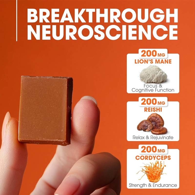 Fabrik Pflanze Cordyceps Nootropische Pilze Unterstützung Energie Fokus Gehirngesundheit Immunität Ganoderma Lucidum Pilze Weichkauen