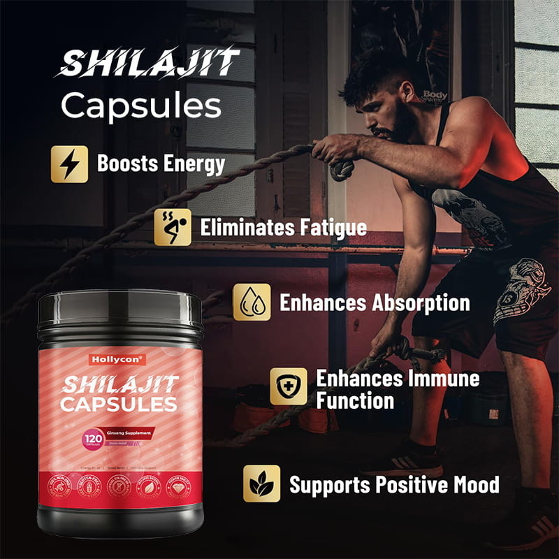 Shilajit-Kapseln heiß verkaufte reine Himalaya-organische Shilajit-Ergänzung für Männer Immunförderung Energie-Boost