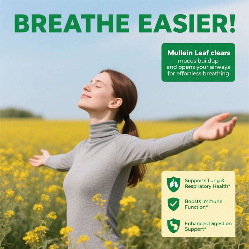 Premium-Mullein-Blatt-Extrakt für die Lunge 2000mg Mullein Gummies Lunge Detox Atmung Verdauung Immunförderung