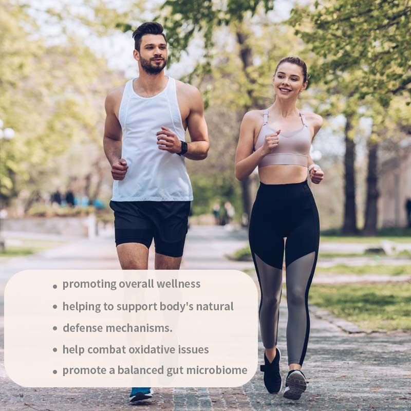 OEM fördert das allgemeine Wohlbefinden und unterstützt die natürlichen Abwehrmechanismen des Körpers, bekämpft oxidative Probleme, Turkey Tail Kapseln