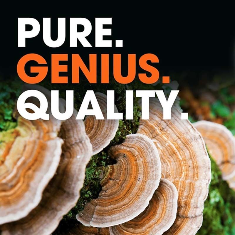 OEM fördert das allgemeine Wohlbefinden und unterstützt die natürlichen Abwehrmechanismen des Körpers, bekämpft oxidative Probleme, Turkey Tail Kapseln