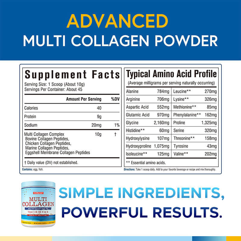 Multi-Kollagen-Peptide-Pulver Typ I II III V X Hydrolysiertes Kollagen-Nahrungsergänzungsmittel 454g Individuelle 3g Tagesdosis