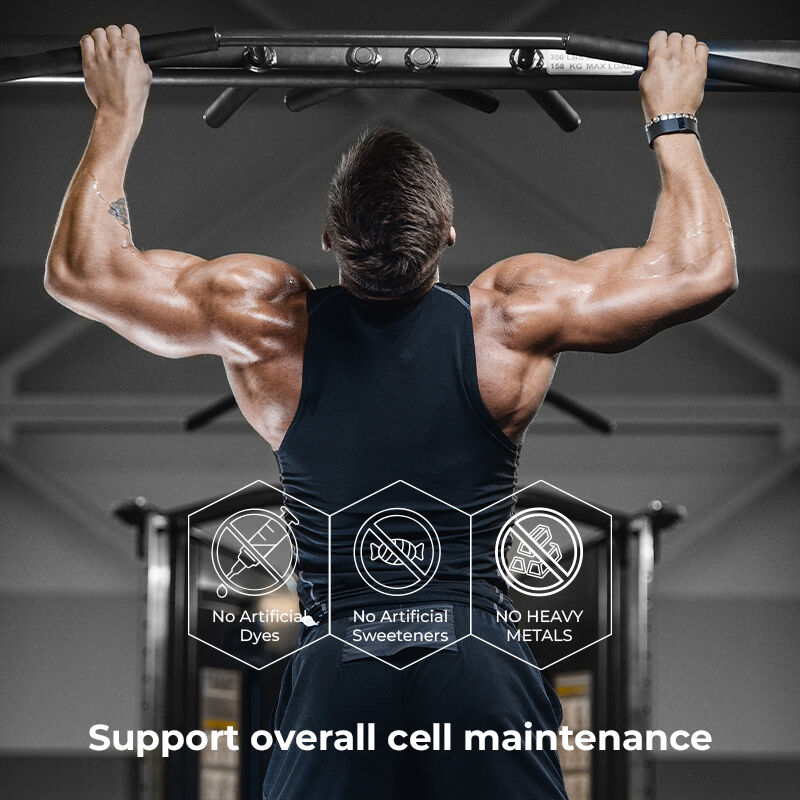 Private Label Shilajit Männer Gummies Fulvinsäure Zuckerfreier Nahrungsergänzungsmittel Normaler Energieniveau und Immunfunktion