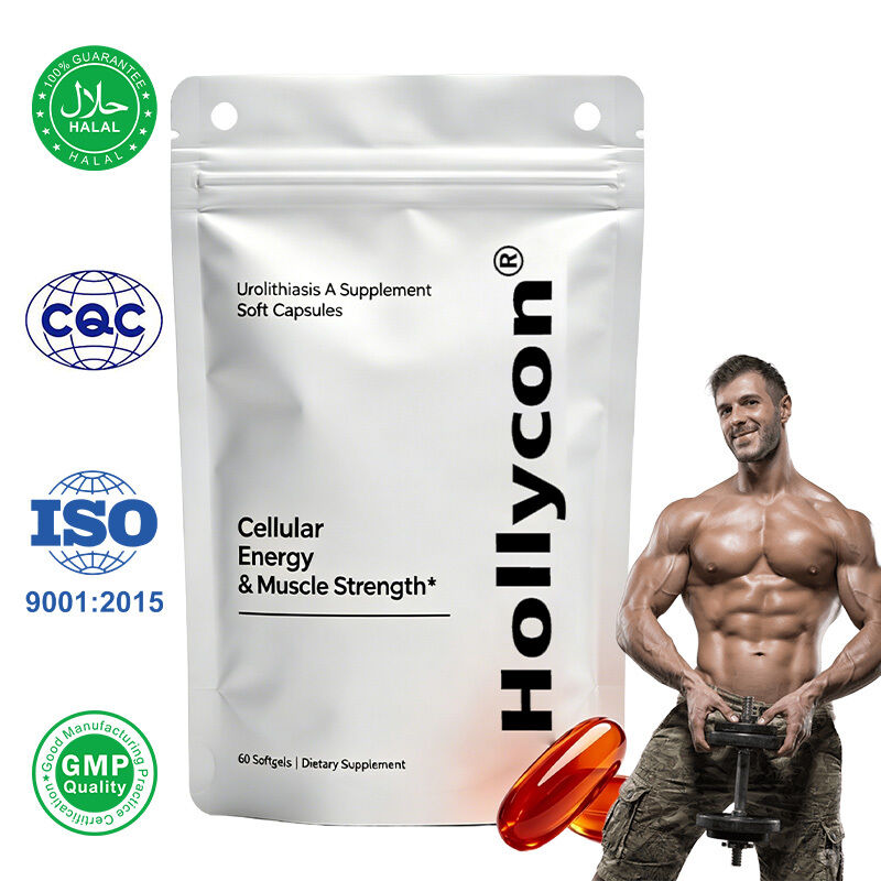 Hohe Reinheit Urolithin A Weichkapseln. Pflanzliche zelluläre Nährstoffsupplement mit individuellem Privatetikett.