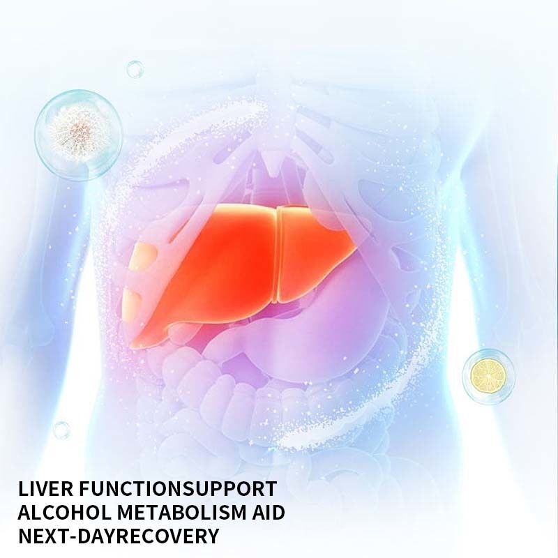 Herbal Liver Nutrient Capsules with Natural Herbal Extracts for Liver Health - OEM Private Label Customizable & 24 Months Shelf Life