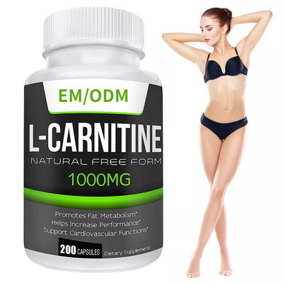 MSDS Fettabbau Ergänzungen Ernährung Extra-Strength L-Carnitin Abnehmkapseln
