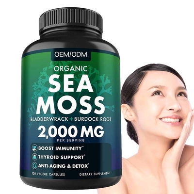 Unflavored organisches Meer Moss Raw See-Moss Capsules Wildcrafted Nons GMO 60 Gluten freie Seamoss-Pillen