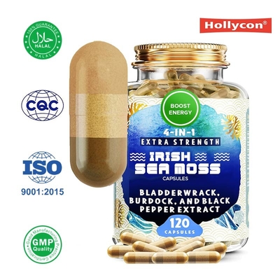 Lieferant Irish Sea Moss Kapseln Steigern Energie Verbessern Gelenk Knochen Meeresmoos Pulver