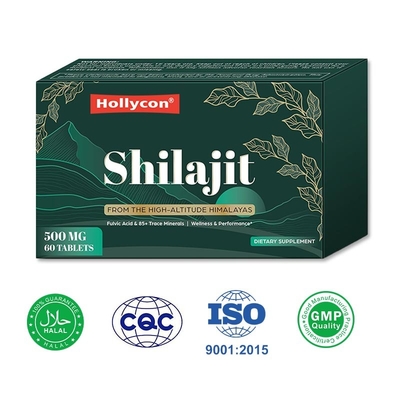 Fabrik Himalaya Shilajit Tabletten Energieverwaltung Immunförderung Verdauung verbessern