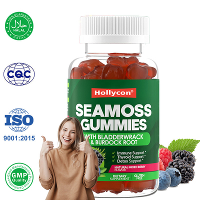 Irish Sea Moss Gummies 1000mg Bladderwrack Sea Moss Gummies zur Unterstützung der Verdauung