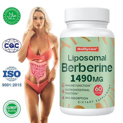 Liposomal Berberin Ergänzung Liposomal Berberin Softgels zur Immunförderung