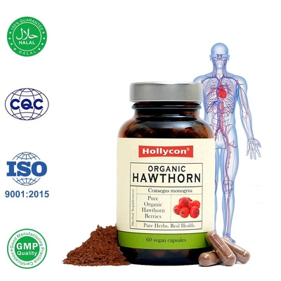 Bio-Hawthorn-Beeren-Kapseln fördern die Durchblutung und die Gesundheit des Herzens