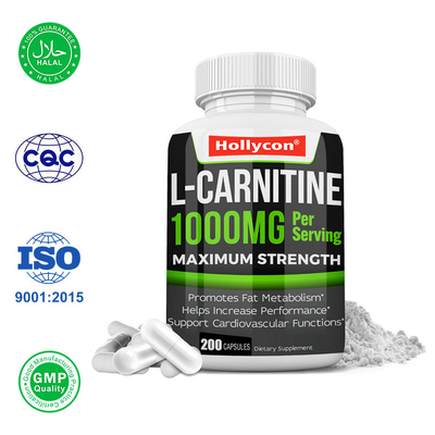 Private Label L Carnitin Kapseln fördern den Fettstoffwechsel und Gewichtsverlust