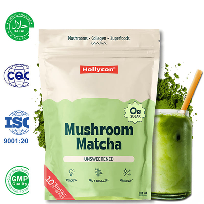 Fabrik-Bio-Pilze Matcha-Pulver Unterstützung Fokus Energie Verdauung Gesundheit