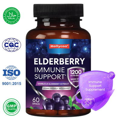 Fabrik Sambucus Black Elderberry Kapseln Immunhilfe Ergänzung Antioxidans