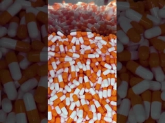 Pilz Superfood tägliche Boost-Kapseln